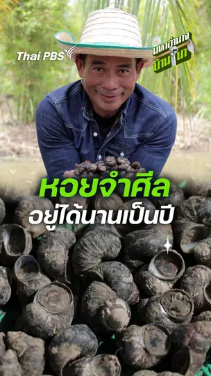 หอยจำศีล อยู่ได้นานเป็นปี