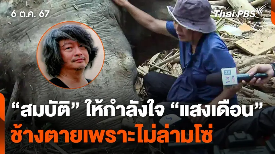 "สมบัติ" ให้กำลังใจ "แสงเดือน" เหตุช้างตายเพราะไม่ล่ามโซ่