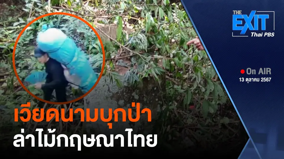 เวียดนามบุกป่า ล่าไม้กฤษณาไทย