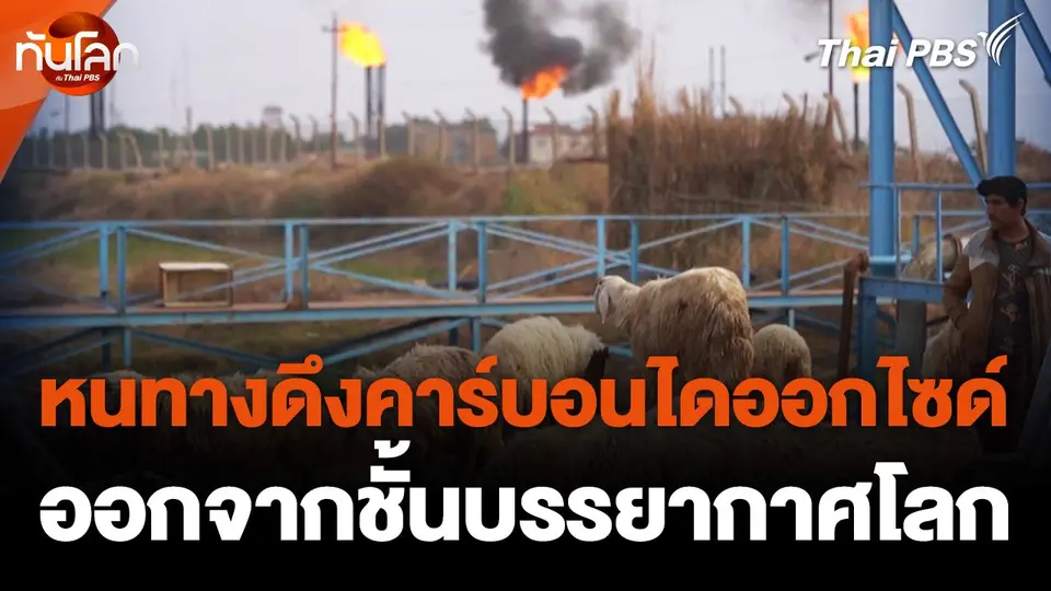 หนทางดึงคาร์บอนไดออกไซด์ออกจากชั้นบรรยากาศโลก
