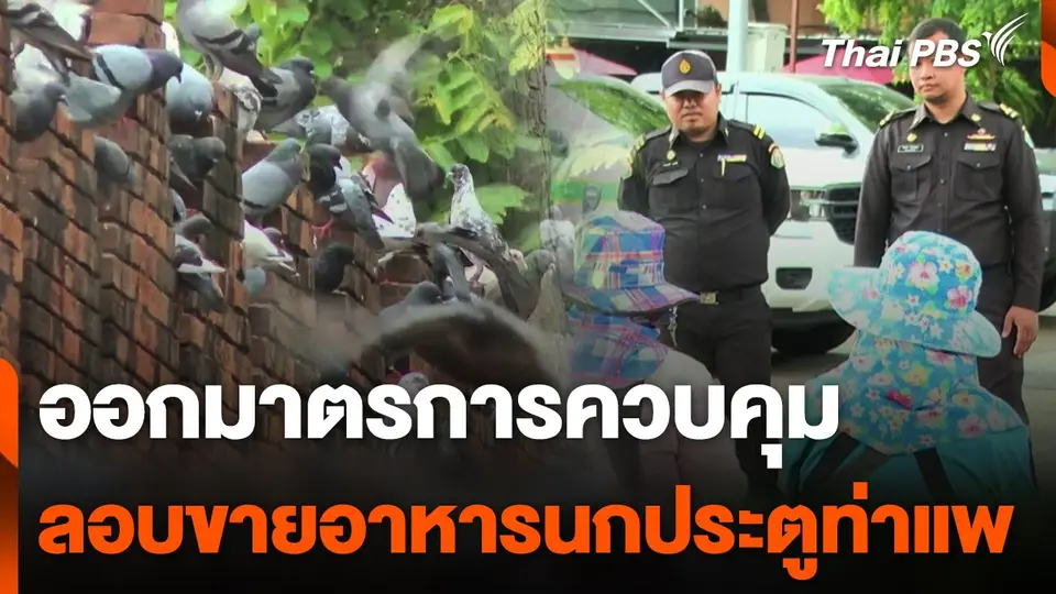 ออกมาตรการควบคุมขายอาหารนกประตูท่าแพ จ.เชียงใหม่