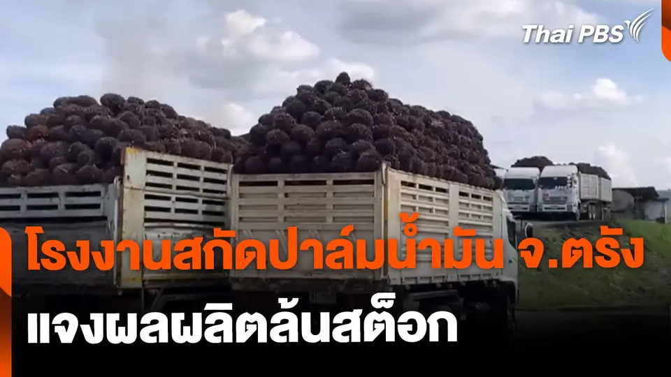 โรงงานสกัดปาล์มน้ำมัน จ.ตรัง แจงผลผลิตล้นสต็อก