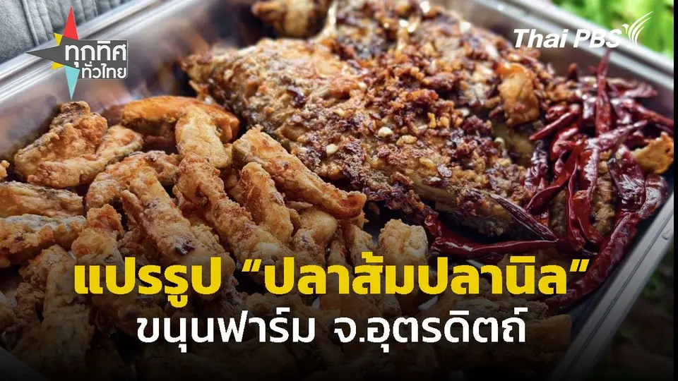 "ปลาส้มปลานิล" ขนุนฟาร์ม จ.อุตรดิตถ์