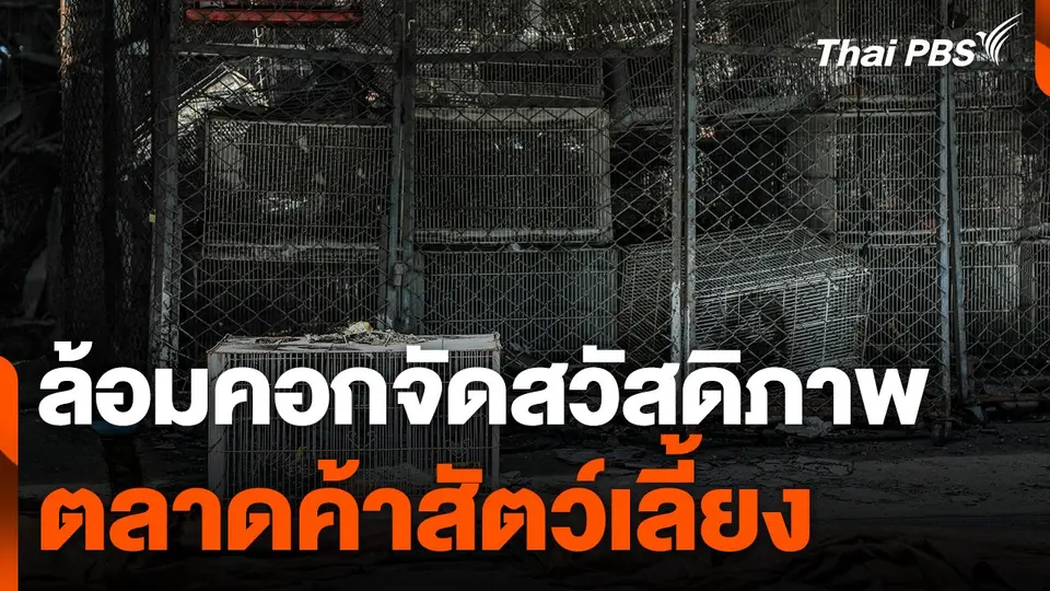ล้อมคอกจัดสวัสดิภาพตลาดค้าสัตว์เลี้ยง