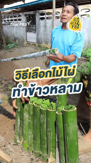 วิธีเลือกไม้ไผ่ทำข้าวหลาม