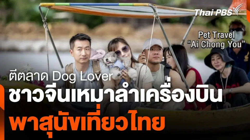 นักท่องเที่ยวจีน เหมาลำเครื่องบินพาสุนัขเที่ยวไทย