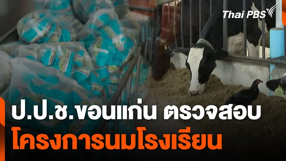 ป.ป.ช.ขอนแก่น ตรวจสอบโครงการนมโรงเรียน