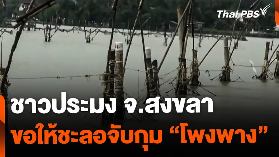ชาวประมง จ.สงขลา ร้องชะลอการจับกุม "โพงพาง"