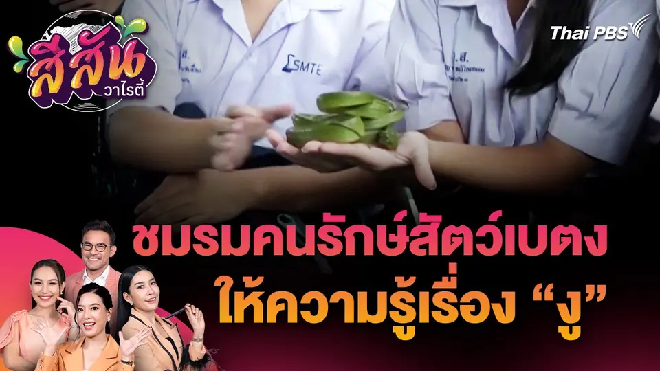 สีสันวาไรตี้ : ชมรมคนรักษ์สัตว์เบตง จัดกิจกรรมให้ความรู้เรื่องงู กู้ภัย นักเรียน นักศึกษา ปชช. ในพื้นที่