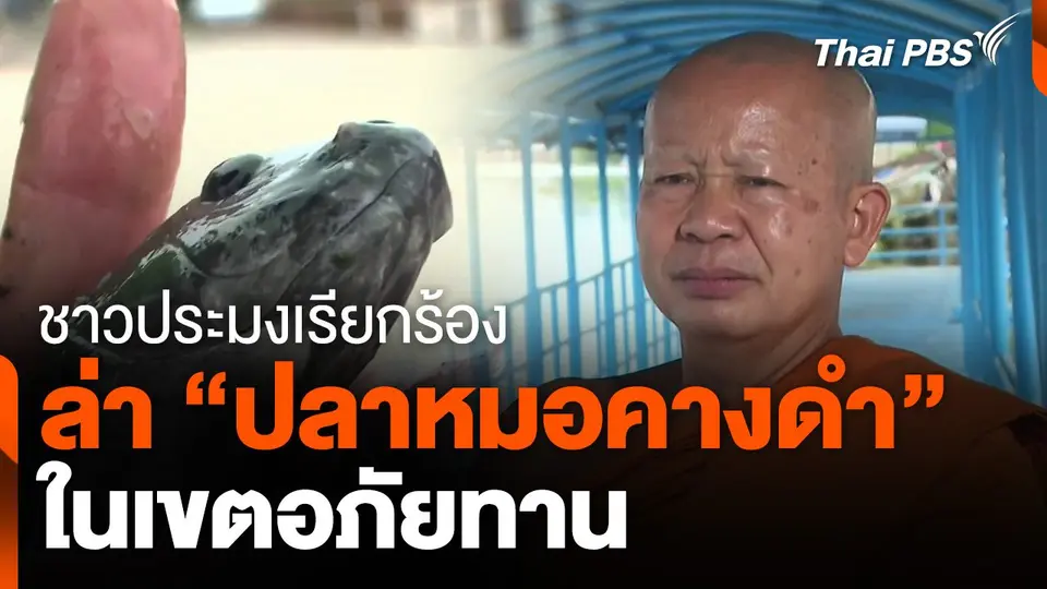 ชาวประมงเรียกร้องล่า "ปลาหมอคางดำ" เขตอภัยทาน