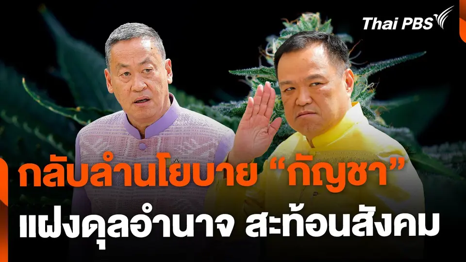 กลับลำกัญชา แฝงดุลอำนาจสะเทือนสังคม