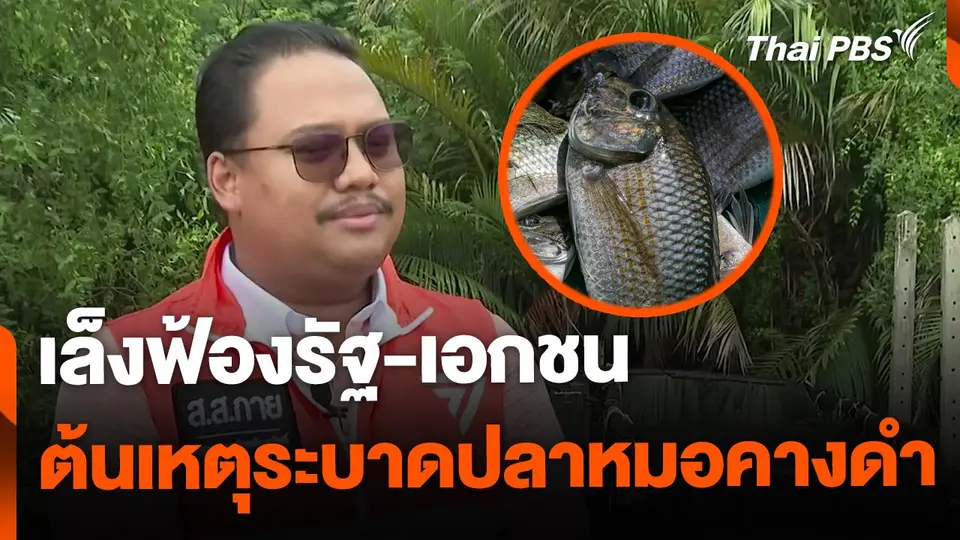 เล็งฟ้องรัฐ-เอกชน ต้นเหตุระบาดปลาหมอคางดำ