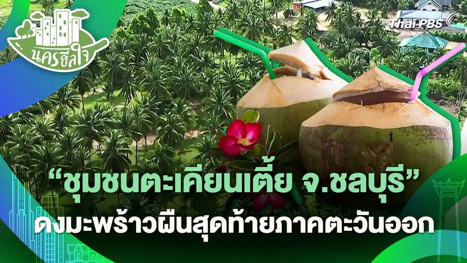 นครฮีลใจ : "ชุมชนตะเคียนเตี้ย จ.ชลบุรี" ดงมะพร้าวผืนสุดท้ายภาคตะวันออก