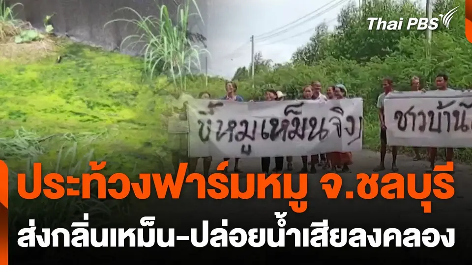 ประท้วงฟาร์มหมู ส่งกลิ่นเหม็น-ปล่อยน้ำเสียลงคลอง จ.ชลบุรี