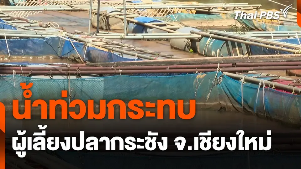น้ำท่วมกระทบผู้เลี้ยงปลากระชัง จ.เชียงใหม่