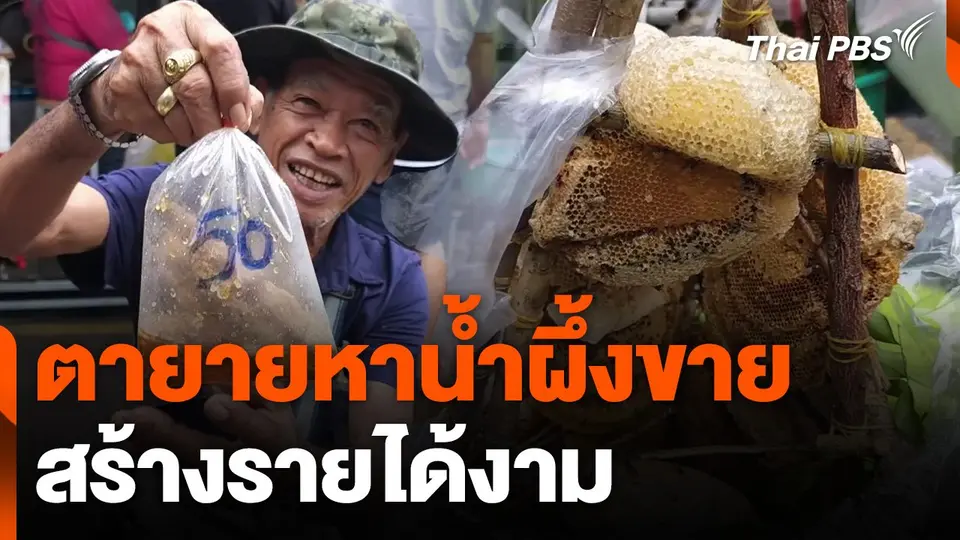 ตายายหาน้ำผึ้งขาย สร้างรายได้งาม