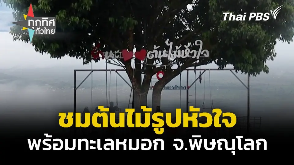 ชมต้นไม้รูปหัวใจพร้อมทะเลหมอก จ.พิษณุโลก | ทุกทิศทั่วไทย | 24 ต.ค. 67