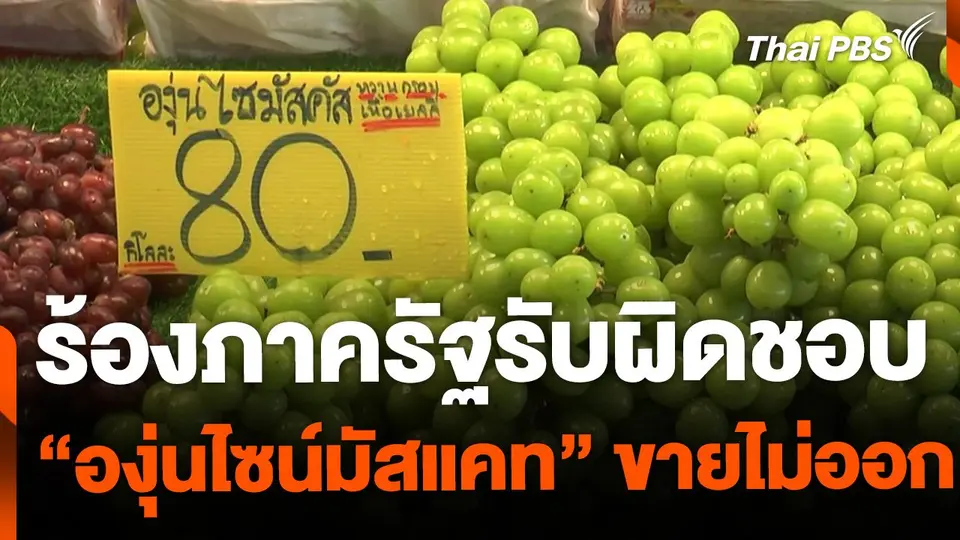 ผู้ขายร้องภาครัฐรับผิดชอบ "องุ่นไซน์มัสแคท" ขายไม่ออก