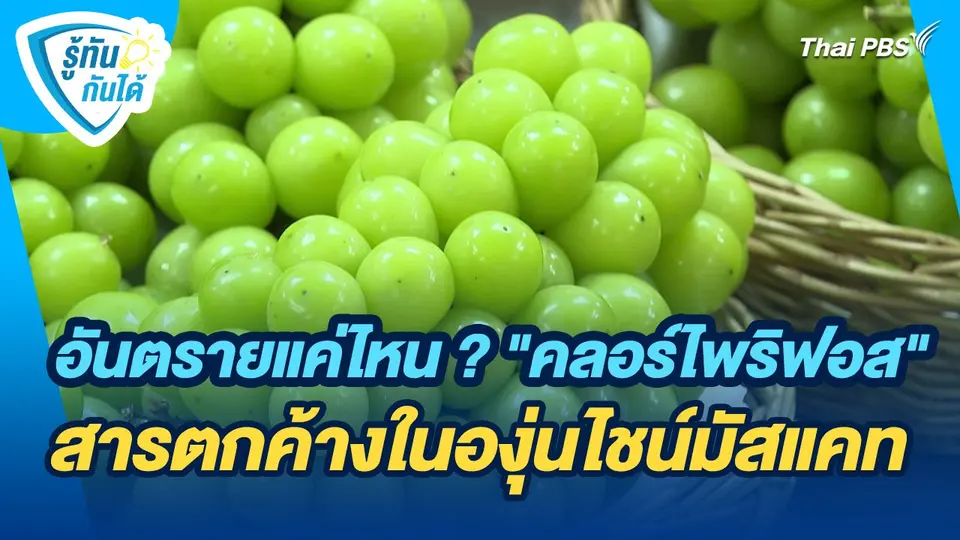 รู้ทันกันได้ : "คลอร์ไพริฟอส" สารตกค้างในองุ่นไชน์มัสแคทอันตรายมากน้อยแค่ไหน ?