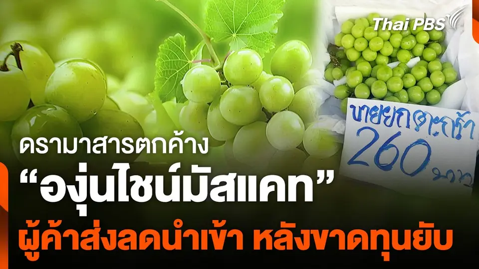 ผู้ค้าส่งตลาดผลไม้ ลดนำเข้า "องุ่นไชน์มัสแคท" ขายเทศกาลปีใหม่
