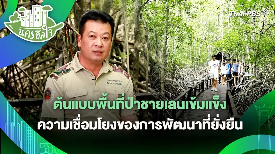 นครฮีลใจ : ต้นแบบพื้นที่ป่าชายเลนเข้มแข็งแห่งปราณบุรี