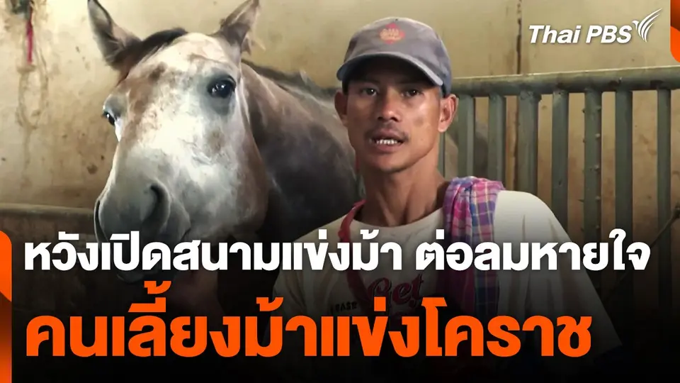 หวังเปิดสนามแข่งม้า ต่อลมหายใจคนเลี้ยงม้าแข่งโคราช