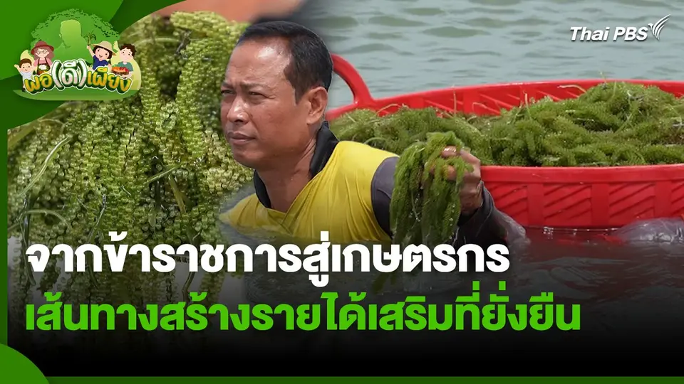 พอดีพอเพียง : จากข้าราชการสู่เกษตรกร เส้นทางสร้างรายได้เสริมที่ยั่งยืน