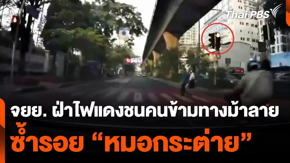 จยย. ฝ่าไฟแดงชนคนข้ามทางม้าลายซ้ำรอย "หมอกระต่าย"