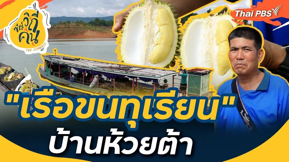 "เรือขนทุเรียน" บ้านห้วยต้า