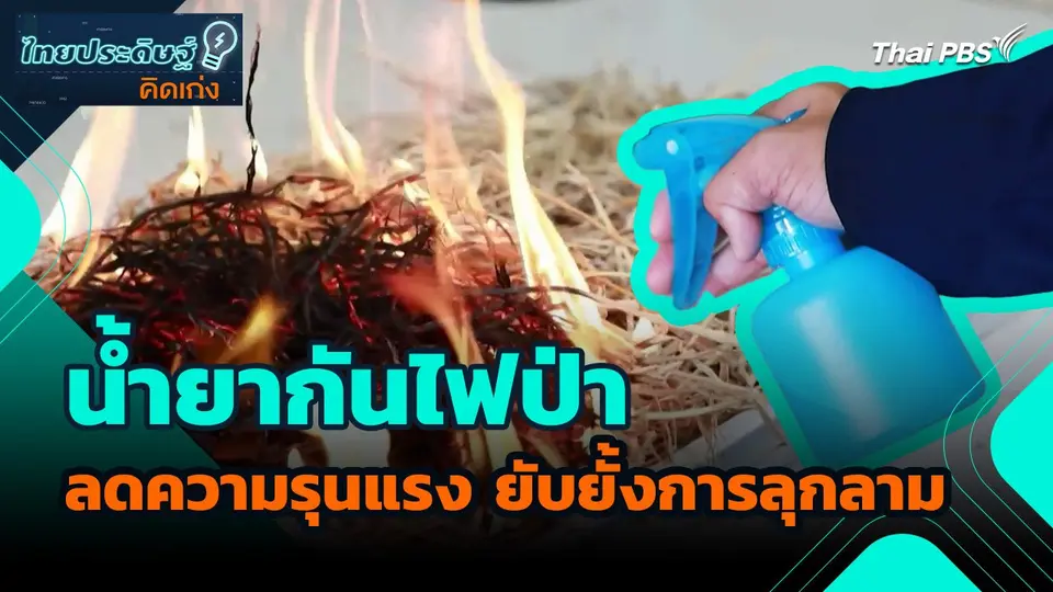 ไทยประดิษฐ์คิดเก่ง : นวัตกรรมน้ำยากันไฟป่า