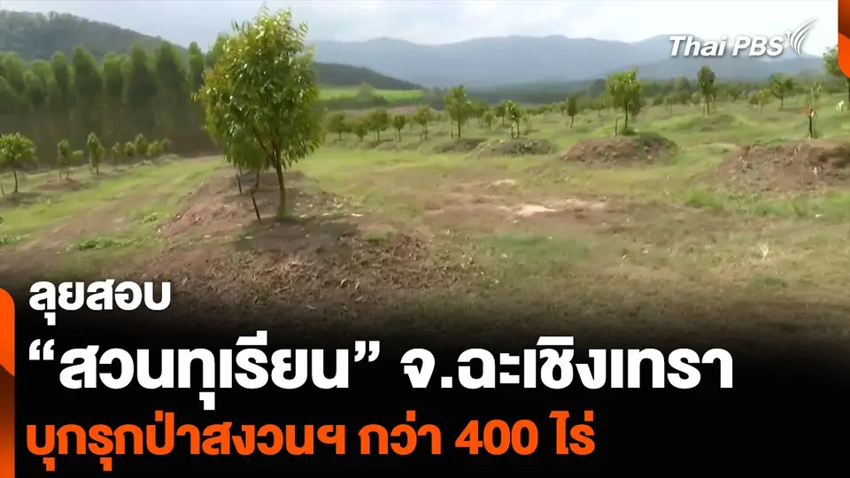 ลุยสอบ “สวนทุเรียน” จ.ฉะเชิงเทรา บุกรุกป่าสงวนฯ กว่า 400 ไร่