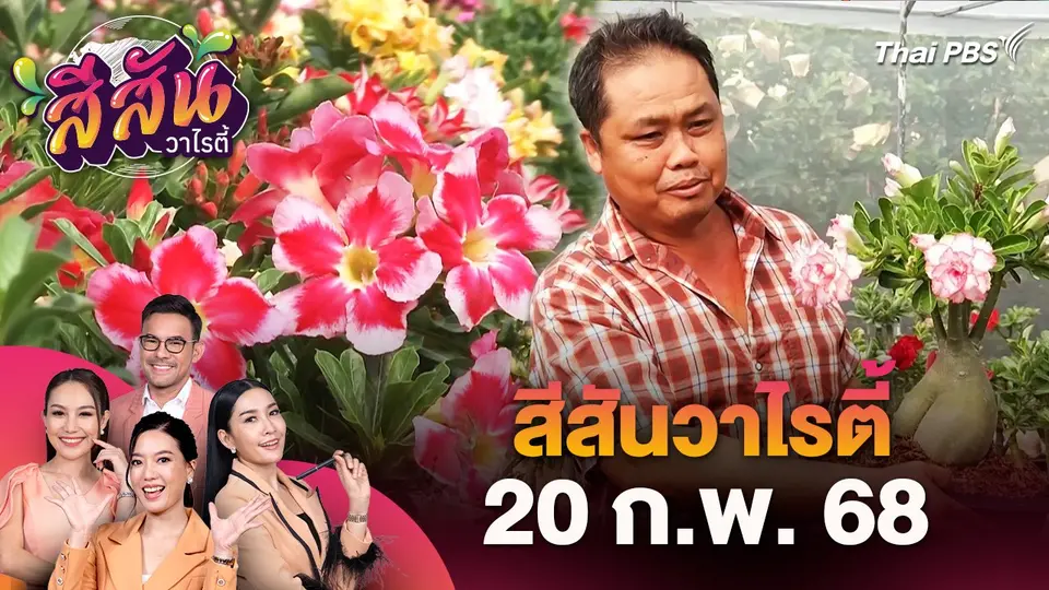 สีสันวาไรตี้ (20 ก.พ. 68)