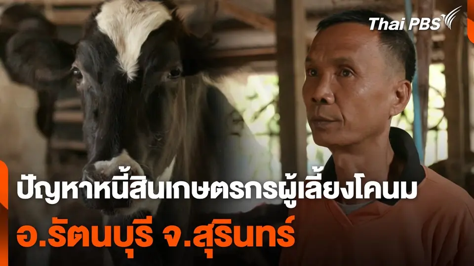 สถานีร้องเรียน : ปัญหาหนี้สินเกษตรกรผู้เลี้ยงโคนม อ.รัตนบุรี จ.สุรินทร์