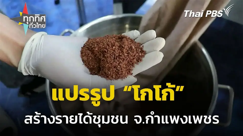 "แปรรูปโกโก้" เปลี่ยนวิกฤต สร้างรายได้ชุมชน จ.กำแพงเพชร