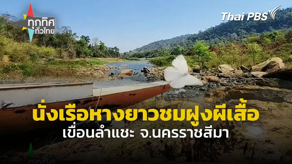 นั่งเรือหางยาวชมฝูงผีเสื้อ เขื่อนลำแชะ จ.นครราชสีมา