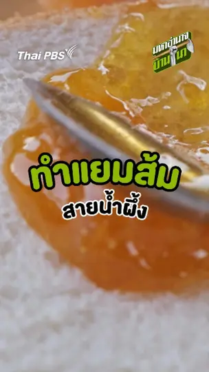 ทำแยมส้ม สายน้ำผึ้ง