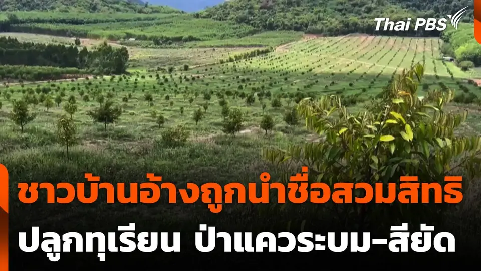 ชาวบ้านอ้างถูกนำชื่อสวมสิทธิปลูกทุเรียน ป่าแควระบม-สียัด