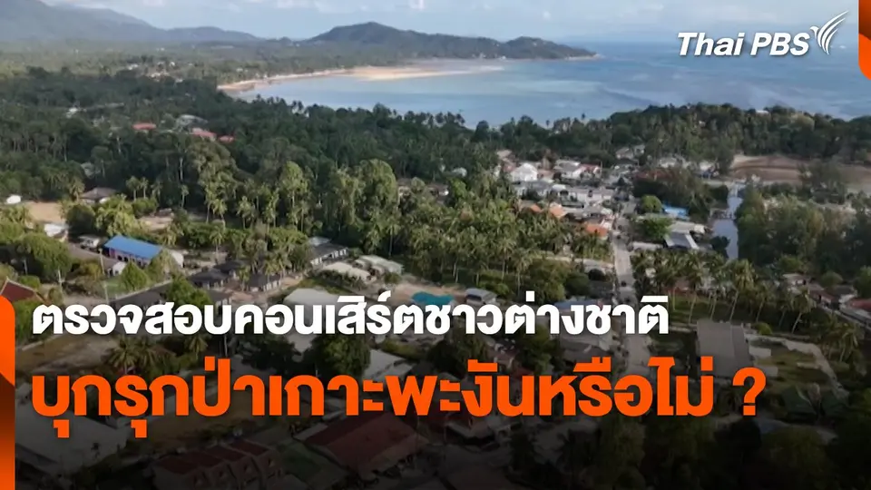 ตรวจสอบคอนเสิร์ตชาวต่างชาติ บุกรุกป่าเกาะพะงันหรือไม่ ?