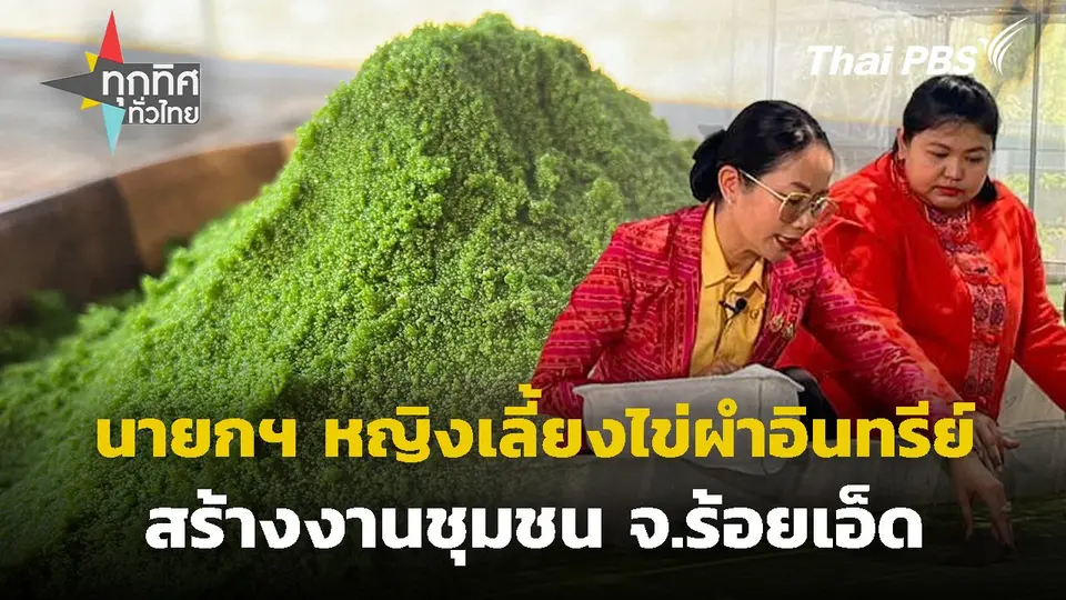 นายกฯ หญิงเลี้ยงไข่ผำอินทรีย์สร้างงานชุมชน จ.ร้อยเอ็ด