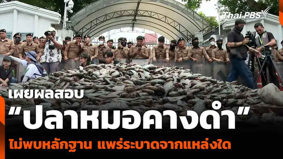 เผยผลสอบ “ปลาหมอคางดำ” ไม่พบหลักฐาน แพร่ระบาดจากแหล่งใด