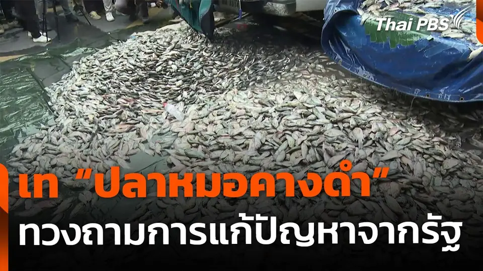 เท "ปลาหมอคางดำ" หน้าทำเนียบฯ ทวงถามการแก้ปัญหา