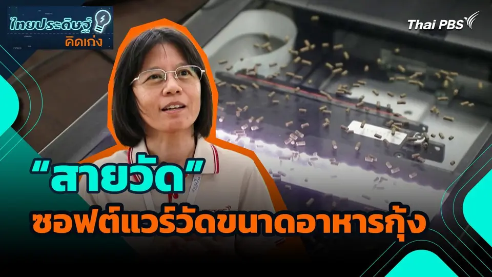ไทยประดิษฐ์คิดเก่ง : “สายวัด” ซอฟต์แวร์สำหรับวัดขนาดอาหารกุ้ง