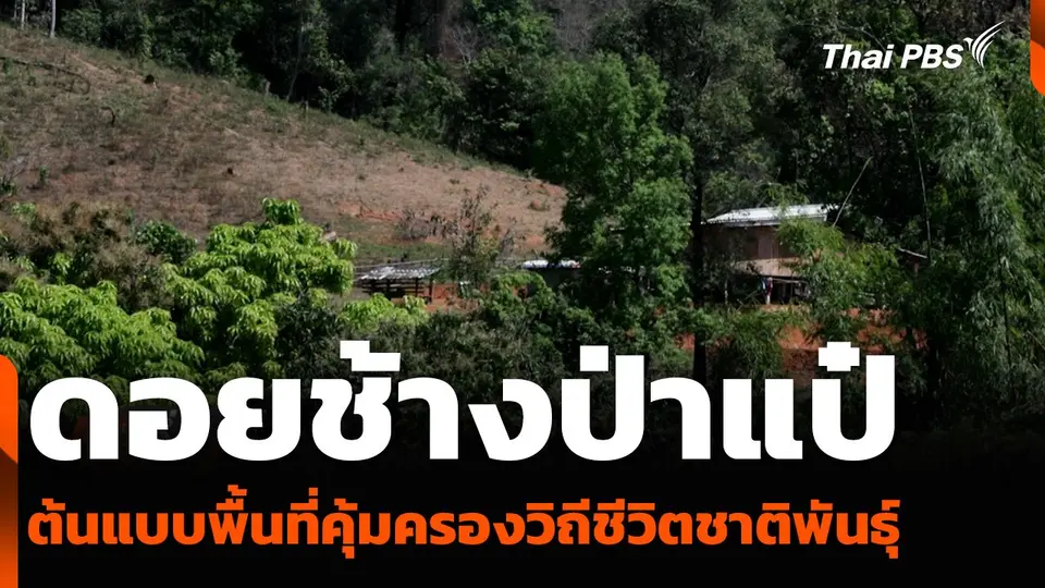 ดอยช้างป่าแป๋ ต้นแบบพื้นที่คุ้มครองวิถีชีวิตชาติพันธุ์