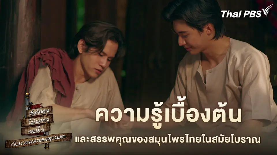 ความรู้เบื้องต้น และสรรพคุณของสมุนไพรไทยในสมัยโบราณ