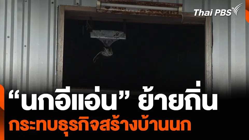 “นกอีแอ่น” ย้ายถิ่น กระทบธุรกิจสร้างบ้านนก