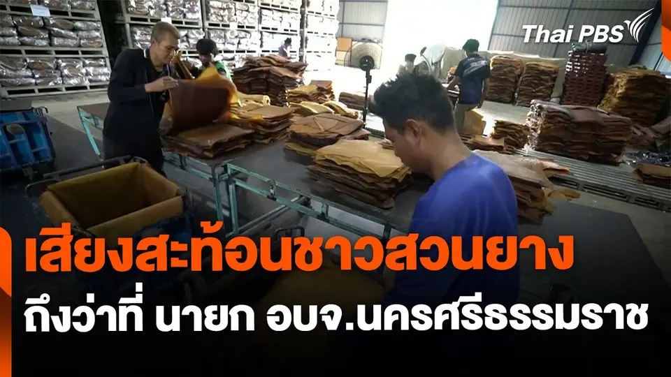 เสียงสะท้อนชาวสวนยางต่อนายก อบจ.นครศรีธรรมราช คนใหม่