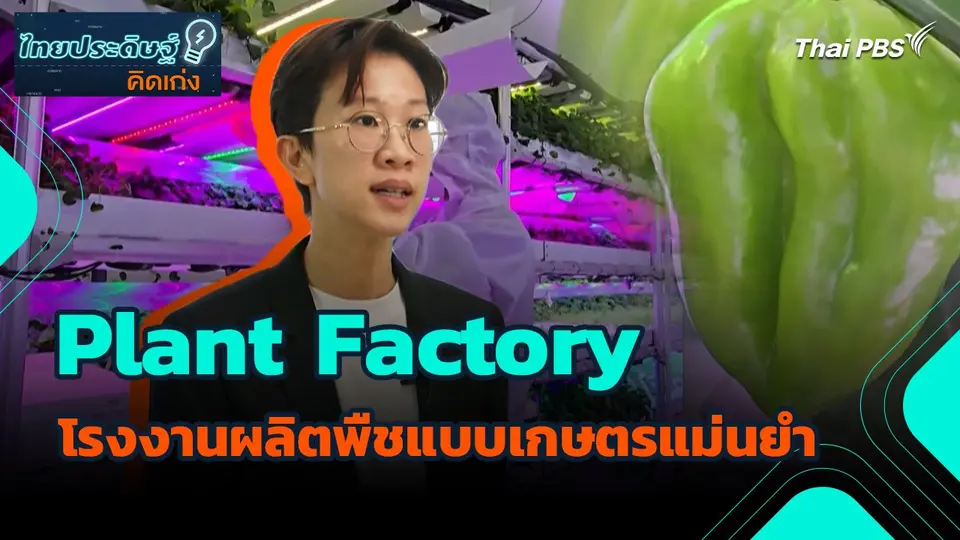 ไทยประดิษฐ์คิดเก่ง : Plant Factory โรงงานผลิตพืชแบบเกษตรแม่นยำ