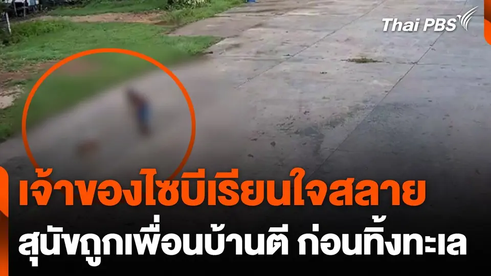 เจ้าของไซบีเรียนแจ้งความ สุนัขถูกเพื่อนบ้านตี ก่อนทิ้งทะเล