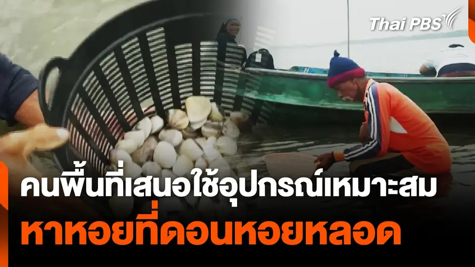 คนพื้นเสนอใช้อุปกรณ์เหมาะสม หาหอยที่ดอนหอยหลอด
