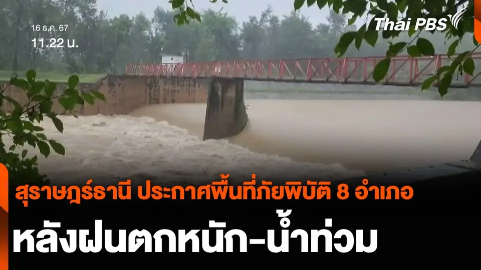 สุราษฎร์ธานี ประกาศพื้นที่ภัยพิบัติ 8 อำเภอ หลังฝนตกหนัก-น้ำท่วม